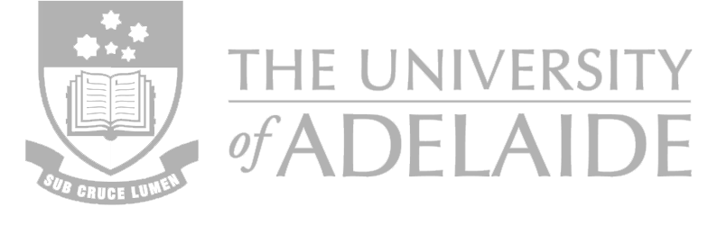 University of Adelaide - CanvasSolver Extension for Students using Canvas