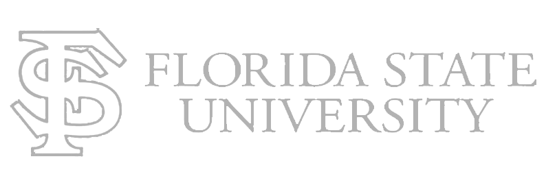 University of Florida - CanvasSolver Extension for Students using Canvas